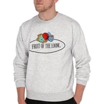 Fruit of the Loom Sweatshirt mit Vintage-Logo Grau