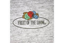 Fruit of the Loom Rundhalsshirt Iconic 150 