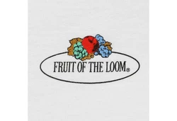 Fruit of the Loom Rundhalsshirt Iconic 150 Grau/Weiß/Blau/Hellgrau/Creme