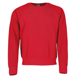 Sweatshirt Classic Raglan Sweat
