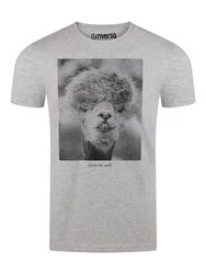 riverso T-Shirt Herren Fotoprintshirt RIVCharly Regular Fit Grau
