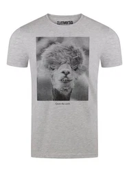 riverso T-Shirt Herren Fotoprintshirt RIVCharly Regular Fit Grau