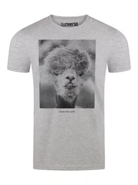 T-Shirt Herren Fotoprintshirt RIVCharly Regular Fit (1-tlg) Kurzarm Tee Shirt mit Rundhalsausschnitt
