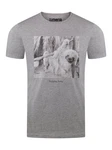 riverso T-Shirt Herren Fotoprintshirt RIVCharly Regular Fit Grau/Hellgrau