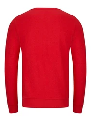 riverso Herren Pullover RIVPhillip Sweatshirt Basic Rundhals Sweater Pulli Langarm Regular Fit Einfarbig 