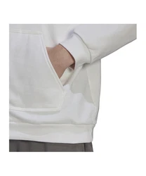 adidas Performance Sweatshirt Entrada 22 Hoody Weiß/Creme/Grau