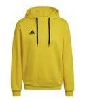 adidas Performance Sweatshirt Entrada 22 Hoody 