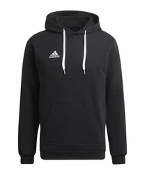 adidas Performance Sweatshirt Entrada 22 Hoody Schwarz
