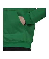 adidas Performance Sweatshirt Entrada 22 Hoody 