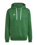 adidas Performance Sweatshirt Entrada 22 Hoody 