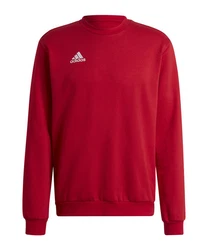 adidas Performance Sweatshirt Entrada 22 