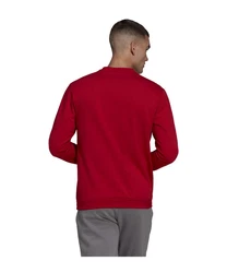 adidas Performance Sweatshirt Entrada 22 
