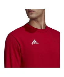 adidas Performance Sweatshirt Entrada 22 