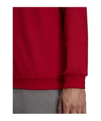 adidas Performance Sweatshirt Entrada 22 
