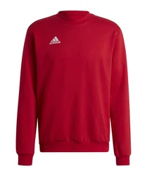 adidas Performance Sweatshirt Entrada 22 