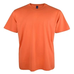 Rundhalsshirt bergren Basic T-Shirt orange von Dave`s