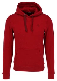 Hoodie Men Sweatshirt, Regular Fit (1-tlg)