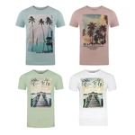 riverso T-Shirt Herren RIVLukas Regular Fit Mischfarben/Hellgrün/Beige/Grün/Hellblau