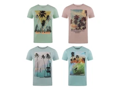 riverso T-Shirt Herren RIVLukas Regular Fit Beige/Türkis/Mischfarben/Blau/Hellgrün/Grün