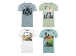 riverso T-Shirt Herren RIVLukas Regular Fit Blau/Mischfarben/Hellblau/Grün/Beige/Hellgrün
