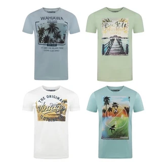 riverso T-Shirt Herren RIVLukas Regular Fit Blau/Mischfarben/Hellblau/Grün/Beige/Hellgrün