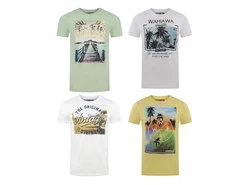 riverso T-Shirt Herren RIVLukas Regular Fit Gelb/Beige/Mischfarben/Weiß/Hellgrün/Grün