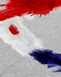 style3 T-Shirt Flagge Kroatien Silber/Grau