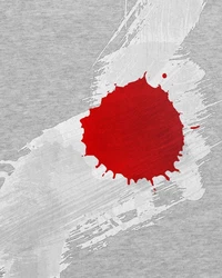 style3 T-Shirt Flagge Japan Fußball Sport Nihon WM EM Fahne Rot