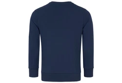 REPUBLIX Sweatshirt JESSE Herren Basic College Pullover Sweatjacke Hoodie 