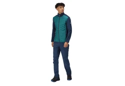 Regatta Funktionsjacke Softshelljacke Clumber III Hybrid Grün/Hellblau/Türkis/Blau
