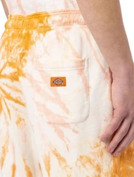 Dickies Shorts Seatac Orange/Gelb