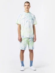 Dickies Shorts Seatac Hellgrün/Neonfarben/Grün/Blau/Mischfarben/Türkis