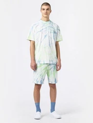 Dickies Shorts Seatac Hellgrün/Neonfarben/Grün/Blau/Mischfarben/Türkis