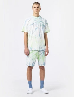 Dickies Shorts Seatac