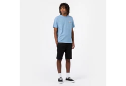 Dickies T-Shirt Ruston Hellblau/Blau