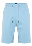 OKLAHOMA PREMIUM DENIM Sweatshorts Hellblau/Blau