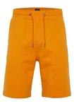 OKLAHOMA PREMIUM DENIM Sweatshorts Orange/Gelb/Braun