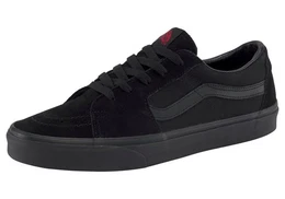 SK8-Low Sneaker