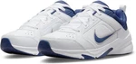 Nike DEFY ALL DAY Sneaker Hellblau/Blau