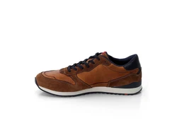Lloyd Sneaker EDMOND Cigar