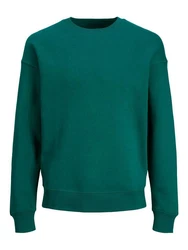 Jack & Jones Sweatshirt JJESTAR BASIC SWEAT CREW NECK NOOS (4012) Grün (4012)