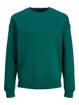 Jack & Jones Sweatshirt JJESTAR BASIC SWEAT CREW NECK NOOS (4012) Grün (4012)