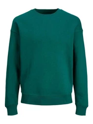 Jack & Jones Sweatshirt JJESTAR BASIC SWEAT CREW NECK NOOS (4012) Grün (4012)