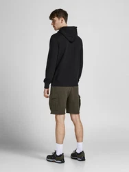 Jack & Jones Longsweatshirt JCOFILT SWEAT HOOD Schwarz/Lila/Hellblau