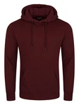 riverso Kapuzenpullover Herren Hoodie RIVErik Regular Fit Dunkelrot/Rot/Bordeaux