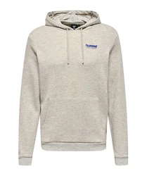 hummel Sweatshirt hmlLGC AUSTIN Hoody Beige