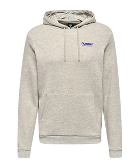 hummel Sweatshirt hmlLGC AUSTIN Hoody