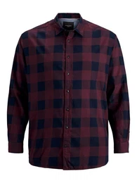 Plus Langarmhemd JJEGINGHAM (1-tlg)