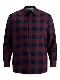 Jack & Jones Langarmhemd JJEGINGHAM