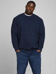 Plus Sweatshirt (1-tlg)